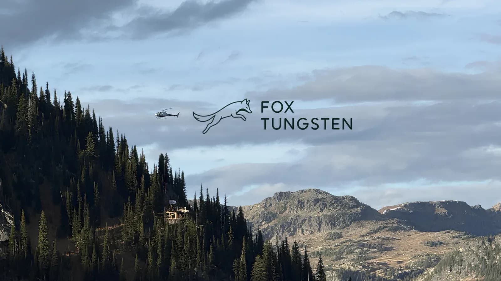 FOXT Is Advancing Across Multiple Fronts!